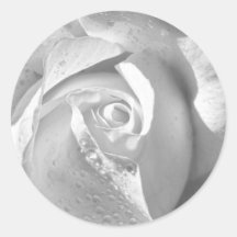 BrautRosen-Weiß-Blume Runder Aufkleber