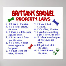 BRETAGNESPANIEL PL2 POSTER