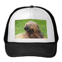 Briard fauve baseballcaps