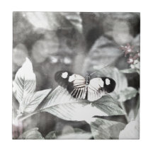 Briefträger-Schmetterling Keramikkachel