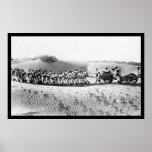 Britische Truppen, die ein Feld-Gewehr 1914 ziehen Plakatdruck