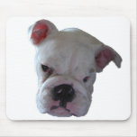 Britischer Bulldoggenwelpe Mousepads