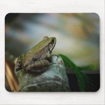 Bronzefrosch auf Froggy Mauspad