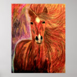 BRONZEstern-PFERD DURCH PLAKAT-GESCHENK DEBBIE DAV