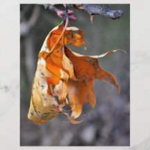 Brown-Blatt Bedruckte Flyer
