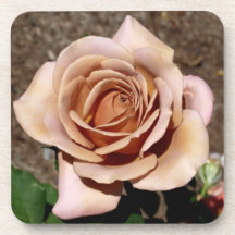 Brown-Rosen-Korken-Untersetzer