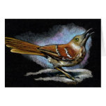 BROWN THRASHER im Farbbleistift: Kunst Grußkarte
