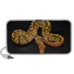 Brown- und Goldball-Pythonschlange iPod Speaker