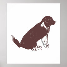 Brown und weißes newfie posterdruck