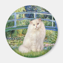 Brücke - weiße persische Katze Kühlschrankmagnet