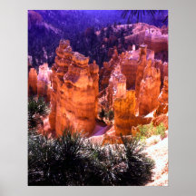 Bryce Schlucht-Druck Plakat