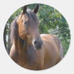 Buchtthoroughbred-Pferdeaufkleber