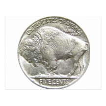 BÜFFEL-NICKEL POSTKARTEN