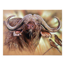 Büffel u. Oxpecker Druck-Einladungen