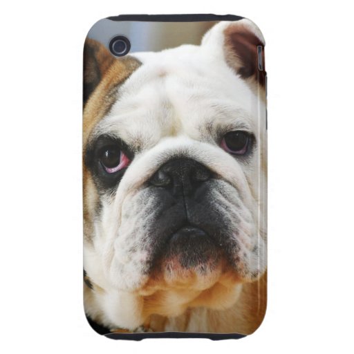 Bulldogge iPhone 3 Tough Etuis
