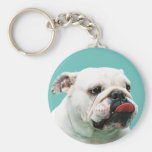 Bulldogge Keychain Schlüsselbänder