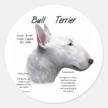 Bullterrier-(weißer) Geschichtsentwurf Runde Sticker
