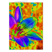Bunte Blume Karte
