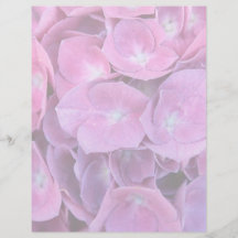 Bunte Hydrangea-Blumen Individuelle Flyer