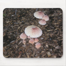 Bunte Pilze Mousepad