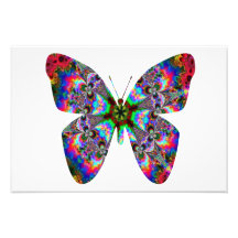 Bunte Schmetterlings-Mandala Photo Druck