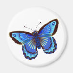 Butterfiy Blau Kühlschrankmagnet