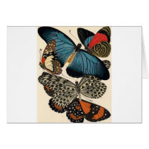 Butterflies Among Us Cards