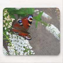 Butterfly Mousepad