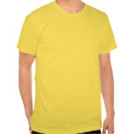 Caldera lake in Azores islands Tees