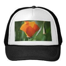 California Poppy Trucker Hat
