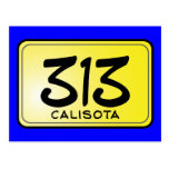 Calisota 313 Kfz-Kennzeichen Postkarte