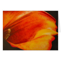 Calla Grußkarten