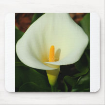 Calla-Lilie Mousepads