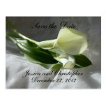 Calla-Lilien auf weißer Spitze Save the Date Postkarten