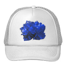 Camelia Pop-Blau Baseball Caps
