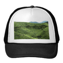 Cameron-Hochland-Tee-Plantage, Malaysia Caps