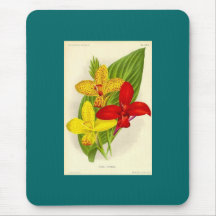 Canna Kreuzungen Mousepads