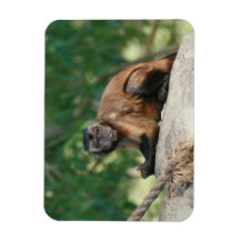 Capuchin-Affe niedlich aber Cranky Eckiger Magnet