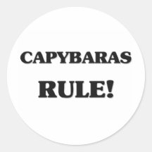 Capybaras-Regel Aufkleber