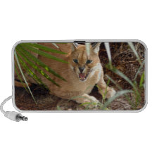 CaracalBCR047 Mini Lautsprecher