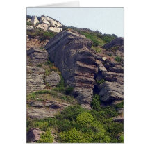 card735 karten