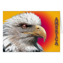 card941 karten