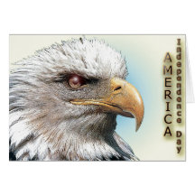 card950 grußkarten