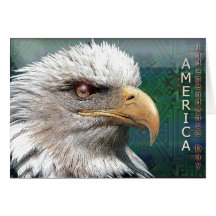 card955 karten