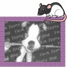 Cartoon-Ratten-Foto-Rahmen Foto Ausschnitt