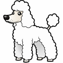 Cartoon Standard/Miniatur-/Spielzeug-Pudel (Welpe  Foto Ausschnitt