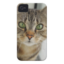 Casemate neugierige Katze iPhone 4 Hülle