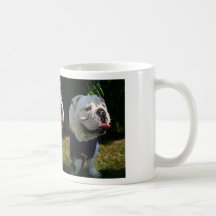 Casper Tasse