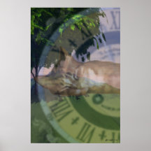 Catnapper - durch Grant-Garnison Plakate