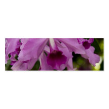 Cattleya Orchidee Visitenkarten